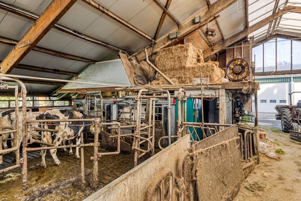 Medium property photo - Strjitwei 3, 8522 MN Tjerkgaast