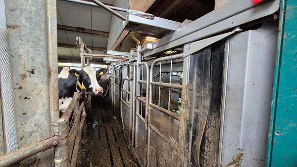 Medium property photo - Strjitwei 3, 8522 MN Tjerkgaast