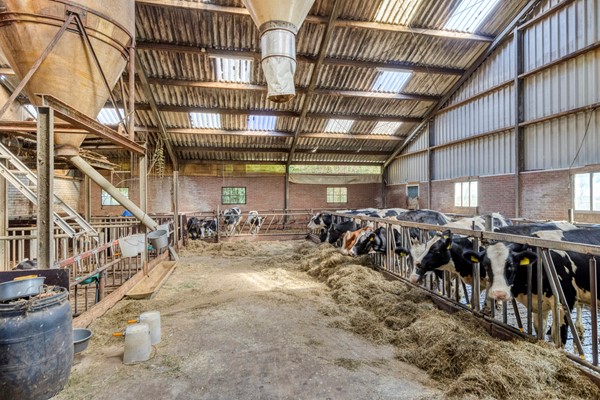 Medium property photo - Strjitwei 3, 8522 MN Tjerkgaast