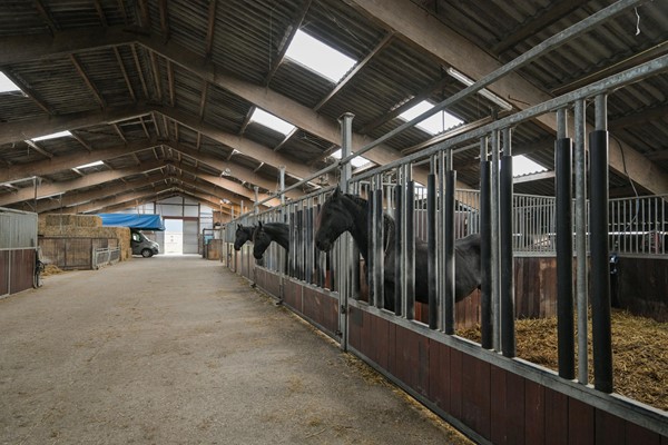 Medium property photo - Jaachpaad 1, 9131 KC Ie