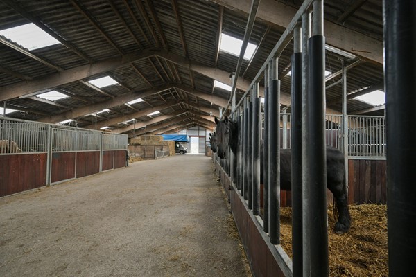 Medium property photo - Jaachpaad 1, 9131 KC Ie