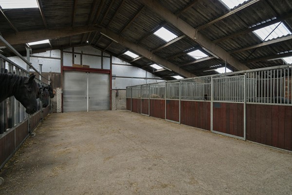 Medium property photo - Jaachpaad 1, 9131 KC Ie