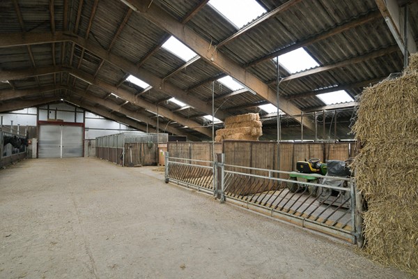 Medium property photo - Jaachpaad 1, 9131 KC Ie