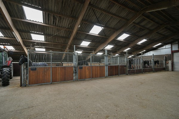 Medium property photo - Jaachpaad 1, 9131 KC Ie