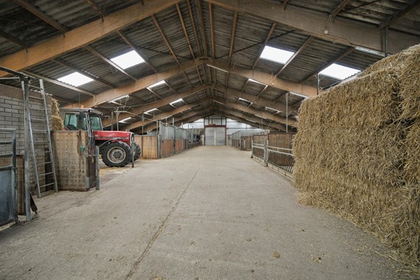 Medium property photo - Jaachpaad 1, 9131 KC Ie