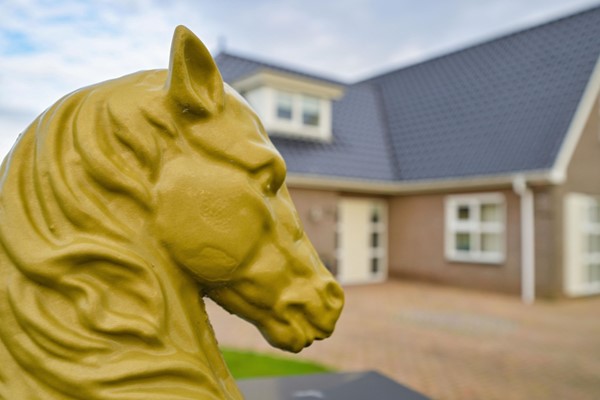 Medium property photo - Jaachpaad 1, 9131 KC Ie