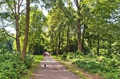 Huur: Slangenburg 75, 1082JV Amsterdam