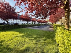 Nieuw in verhuur: Jane Addamslaan 46, 1187DA Amstelveen