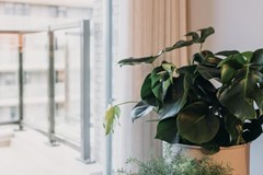 Nieuw in verhuur:1065TS Amsterdam - Foto