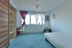 New for rent: Dwergvinvisstraat, 1035 HR Amsterdam