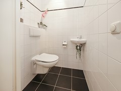 IMG_4950.JPG