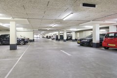 IMG_7700.JPG