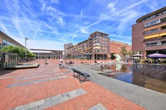 IMG_8000.JPG