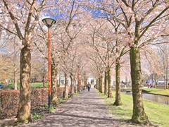 IMG_8100.JPG