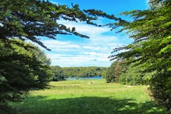 IMG_8300.JPG