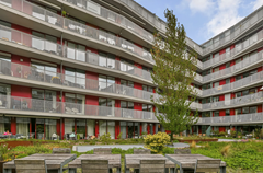 courtyard1.png