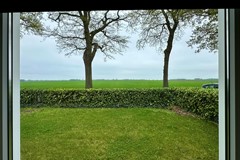 IMG_6529.jpeg