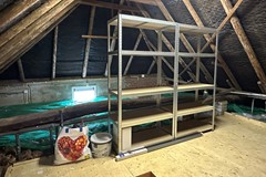 IMG_6548.jpeg