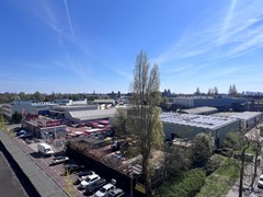 IMG_8904 (Medium).JPG