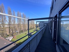 IMG_8910 (Medium).JPG