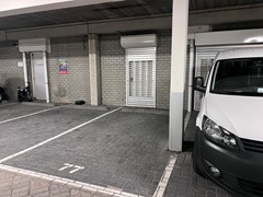 IMG_8912 (Medium).JPG