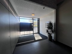 IMG_8913 (Medium).JPG