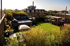 P1070689 (Medium).jpg