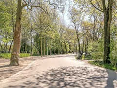 ec2ca8ad41dd3c53af77d42743b902b2 (Medium).jpg