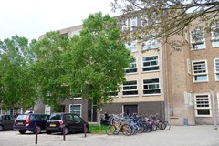 DSC00835 (Medium).JPG