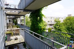 DSC00839 (Medium).JPG