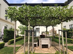 For rent: Clarissenstraat 47, 3231 XC Brielle