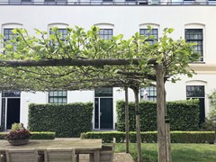 For rent: Clarissenstraat 47, 3231 XC Brielle