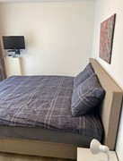 For rent: Rochus Meeuwiszweg 43, 3231 CM Brielle