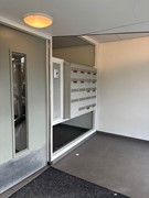 WhatsApp Image 2026-02-04 at 11.48.13 (2).jpeg