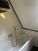 IMG_9370.JPG