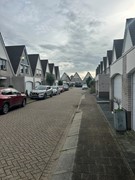 IMG_9387.JPG