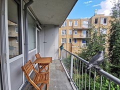 IMG_20230713_094558.jpg