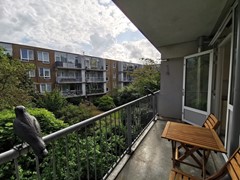 IMG_20230713_094618.jpg