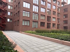 IMG_9663.jpeg