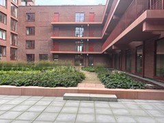 IMG_9664.jpeg
