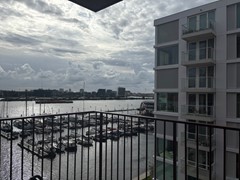 IMG_9658.jpeg