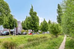 Paaldijk481689WEZwaag-45.jpg