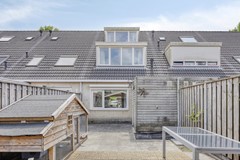 DukeEllingtonhof201628taHoorn-31.jpg