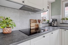 GroeneSteen11628WNHoorn-19c.jpg