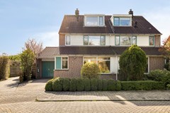 Ceder221628meHoorn-03a.jpg