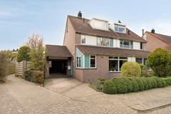 Ceder221628meHoorn-04.jpg