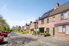 Paardebloem71689rmZwaagNL-02.jpg