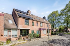 Paardebloem71689rmZwaagNL-03.jpg