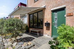 Paardebloem71689rmZwaagNL-06.jpg