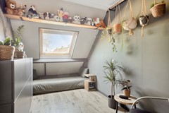 Paardebloem71689rmZwaagNL-37.jpg